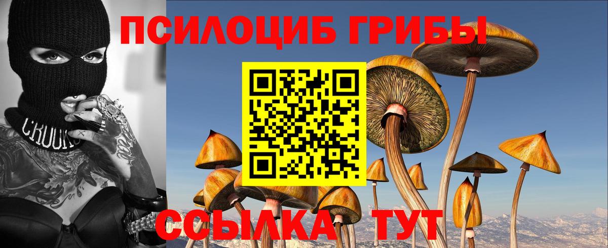 Всеволожск  Галлюциногенные грибы ЛСД  Вход с VPN  как найти наркотики  Галлюциногенные грибы Psilocybine cubensis 
